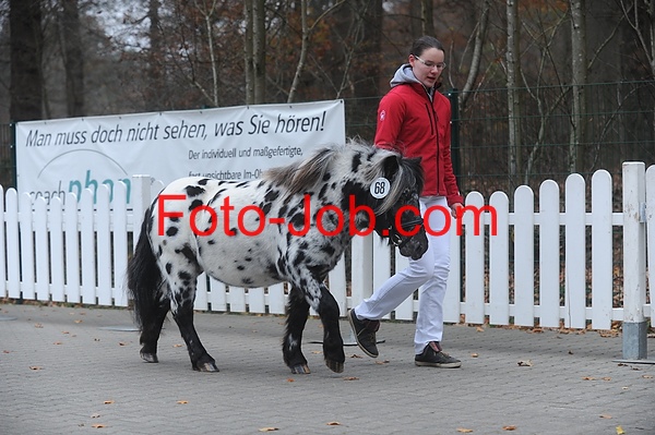 Preview ZTS_3909.jpg